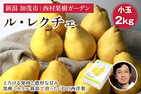 【2025年先行予約】西村の黒酢ミネラル栽培「ル・レクチェ」（小玉） 2kg（8～9玉）《11月下旬～順次発送》 幻の西洋梨 梨 洋梨 果実 フルーツ 冬の味覚 加茂市 西村果樹ガーデン
