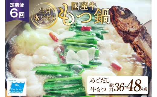 もつ鍋 あごだし セット 6〜8人前 6回 定期便 総計 36〜48人前 [Vive la vie! 長崎県 平戸市 hr42bgy420505] もつ 鍋 あご出汁 アゴ 飛び魚 トビウオ 簡単調理 冷凍 あごだしもつ鍋 鍋セット 牛もつ ホルモン 国産牛 生月