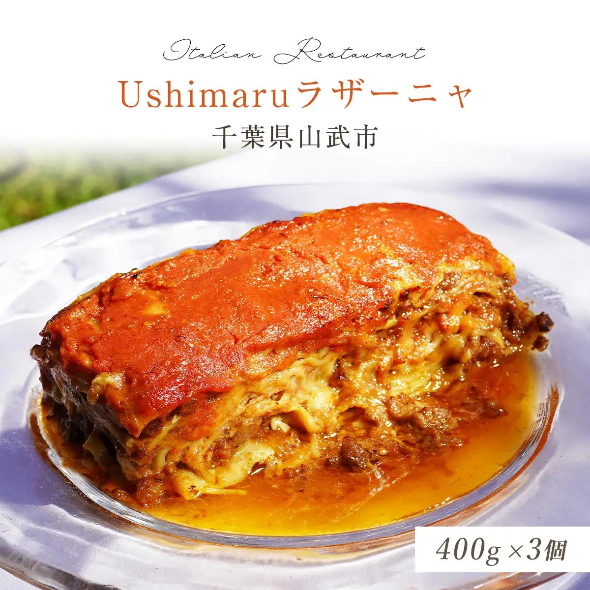 Ushimaruラザーニャ 約400g×3個 SMBM003