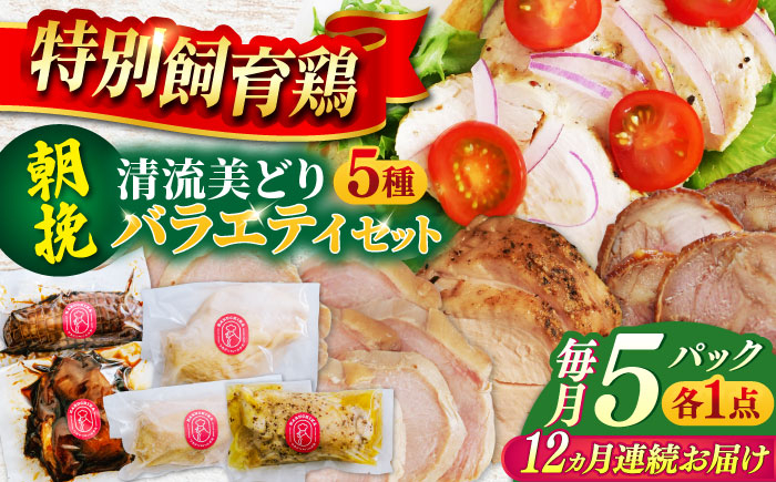
            【12回定期便】 鶏肉 朝挽き 清流美どり バラエティ5点セット 若鶏 お取り寄せ お肉 ディナー おかず ダイエット 筋トレ 岐阜 ギフト プレゼント 贈り物 贈答 おすすめ 人気 12ヶ月 12回 1年 定期便 詰め合わせ セット 鶏チャーシュー 照り焼き サラダチキン 燻製 プレーン オリーブマスタード 鮮度抜群 真空パック 冷凍 岐阜市 / 若鶏の春近 [ANDL014]
          