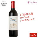 【ふるさと納税】 ワイン 赤ワイン カベルネ・ソーヴィニヨン 2022 750ml 選べる数量 1本 2本 数量限定 赤 国産ワイン 山梨県産 白州産 北杜市産 完熟 黒系果実 オーク樽 樽香 タンニン 酸味 料理に合う 記念日 贈り物 プレゼント 送料無料