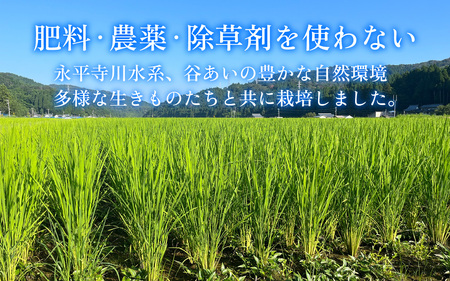 【先行予約】【令和6年産 新米】自然栽培米 永平寺町産 コシヒカリ 【玄米】5kg 無農薬 化学肥料 除草剤 不使用 福井県 永平寺