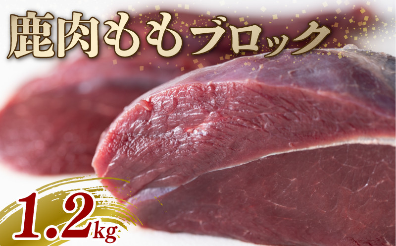 
            鹿もも肉ブロック 1.2kg ジビエ 鹿肉 鹿 モモ 赤身 ブロック肉 カレー シチュー 煮込み料理 ヘルシー あっさり 食べやすい 美味しい 新鮮 冷凍 京都府
          