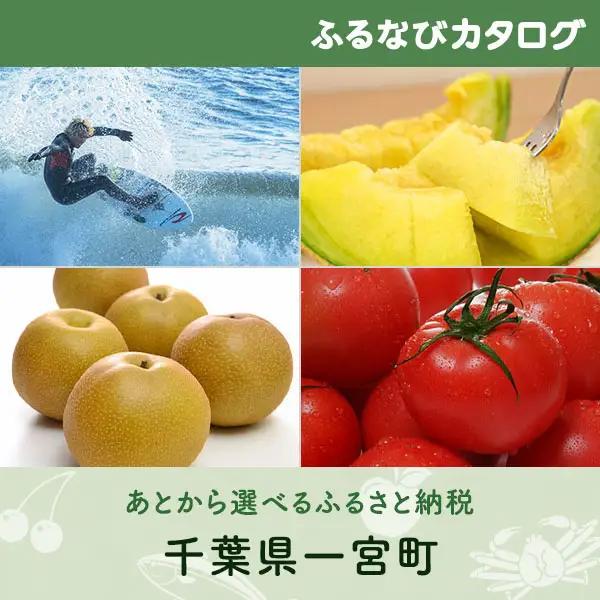 【有効期限なし！後からゆっくり特産品を選べる】千葉県一宮町カタログポイント