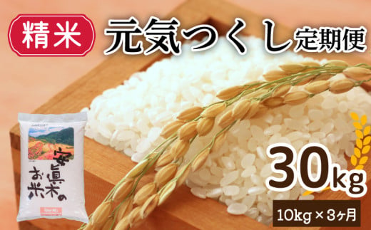 【１週間以内発送】元気つくし 30㎏（精米） 定期便 計三回 米 お米 ゴハン メシ 飯 夕ご飯 美味しいご飯 福岡 川崎