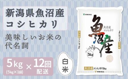 【定期便全12回】新潟県魚沼産コシヒカリ5kg