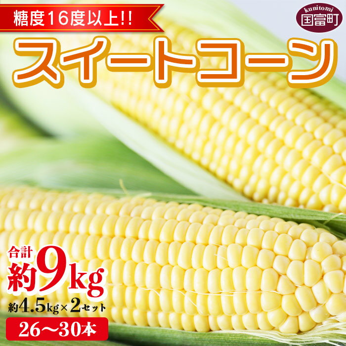 【ふるさと納税】期間限定【2026年発送】 とうもろこし ＜宮崎県産 スイートコーン 約9kg（約4.5kg×2箱）＞※入金確認後、2026年5月下旬〜6月中旬迄に順次出荷します。 先行予約 穀物 野菜 青果 甘い 季節限定 JAみやざき 宮崎中央地区本部管内産 宮崎県 国富町【冷蔵】