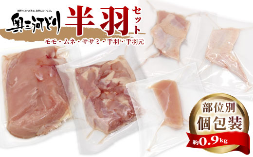 愛知県産 銘柄鶏 奥三河どり 半羽 小分け 約 0.9ｋｇ 鶏肉セット 国産 冷凍 生 生鶏 チキン クリスマス パーティー バーベキュー BBQ アウトドア キャンプ ダッチオーブン チキン 鶏肉 
