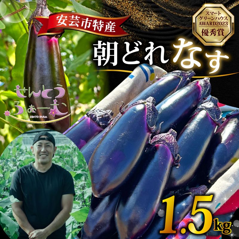 農家直送!高知県安芸市産　朝採れナス　1.5kg