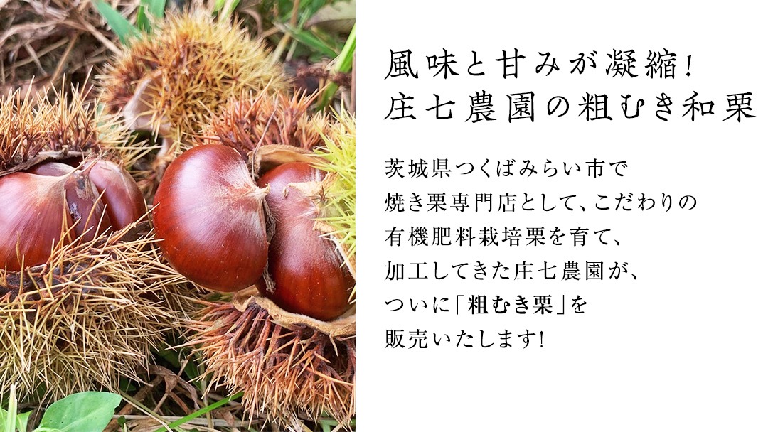 ＼ 選べる内容量 ／熟成で糖度の上がった粗むき栗 200g ×2～5袋 (冷凍真空包装) 栗 栗ご飯 むき栗 栗 和栗 フルーツ 秋の味覚 お手軽   [BK43-NT]