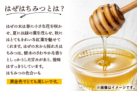 はぜはちみつ 400g 蜂蜜 国産 熊本県荒尾市産 純粋蜂蜜 木原養蜂園《30日以内に順次出荷(土日祝除く)》