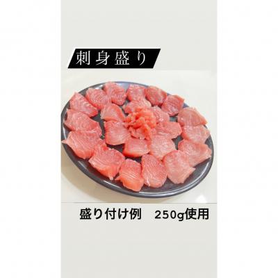 ふるさと納税 三浦市 目鉢鮪頭肉　超希少部位”脂ハチの身” |  | 01