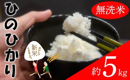 【無洗米】ひのひかり 約5kg ( お米 愛媛県産米 ふるさと納税お米 こめ ご飯 ご飯のおとも)【VEG051musen】