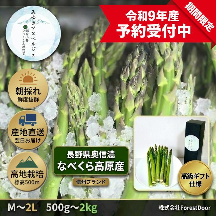 【ふるさと納税】【令和9年産先行予約】アスパラガス みゆきアスペルジュ 選べるサイズ M / L / 2L 選べる容量 500g / 1kg / 2kg【 長野県 飯山市 アスパラガス なべくら高原 高原野菜 旬 新鮮 あすぱら 直送 独自栽培 甘さ 高級 ギフト 人気 美味しい オススメ 】
