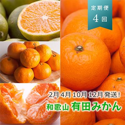 ふるさと納税 湯浅町 【発送月固定定期便】季節の柑橘定期便A【フルーツ定期便】【和歌山県有田】全4回