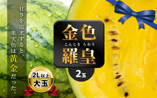 大玉 スイカ 金色羅皇 2玉 『 かめまる食堂 』 | フルーツ 果物 くだもの すいか 西瓜 熊本県 玉名市