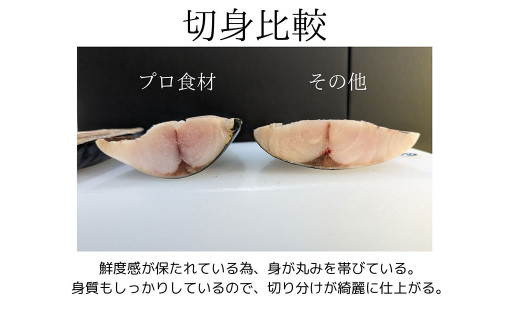 プロ食材 サバフィーレ 3kg