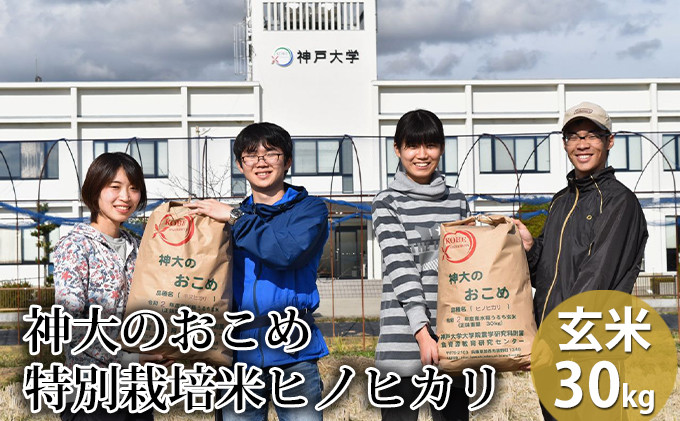 
            米 【令和7年産】神大のおこめ（特別栽培米ヒノヒカリ）玄米30kg お米
          