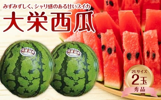 733.【先行予約】【ＪＡ】大栄西瓜 秀2Ｌ×2玉　※着日指定不可　※離島への配送不可　※2026年6月中旬頃～7月中旬頃に順次発送予定【大栄西瓜 西瓜 すいか スイカ フルーツ 果物 鳥取県 北栄町 おすすめ 人気】