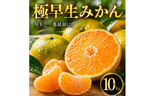 【待望の新登場】 秋の先取り 【極早生みかん】 10kg 愛媛県産 【2026年10月上旬頃から順次発送】 | 温州みかん ミカン ごくわせ mikan みかん 蜜柑 訳ありフルーツ 柑橘 果物 おすすめ お勧め お取り寄せ ギフト 愛媛県 松山市