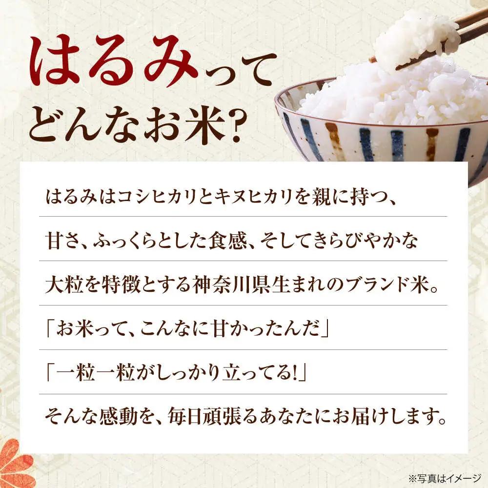 【先行予約】令和8年度 新米 はるみ 5kg【なんかいファーム】 新米 [BDBD002]