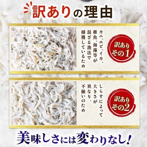 訳ありしらす600g 釜揚げ【しらす】