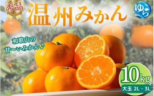 
                  秀品 温州みかん 10kg ≪大玉≫【myvi004-p-l】
                