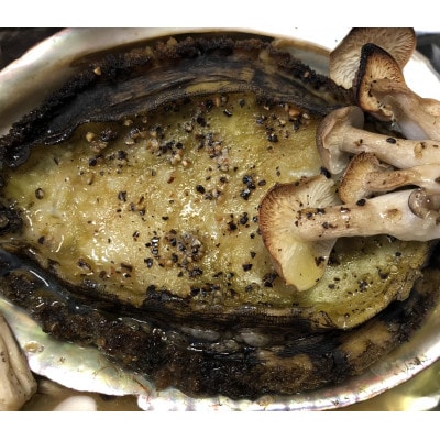 【2ヵ月毎定期便】竹中水産の大アワビ(400g)+アジ又は小鯛付き400g【H22-288】全3回【配送不可地域：離島・北海道・沖縄県】【4076449】