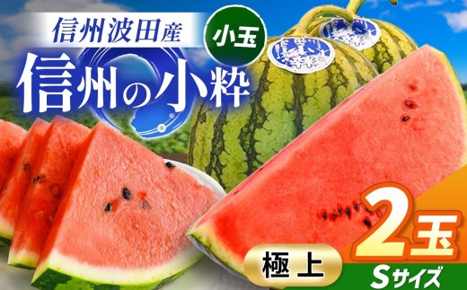 信州波田産 小玉スイカ ！信州の小粋 【極上】 2玉 Sサイズ｜ふるさと納税 長野県 信州 松本 果物 フルーツ すいか スイカ 西瓜 贈答 季節限定 甘い くだもの ふるーつ