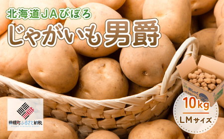 じゃがいも「男爵」10kg じゃがいも イモ いも 男爵いも 北海道 美幌町 送料無料 BHRG020