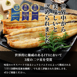 【定期便3回】国産うなぎ長白焼（100～119g）4尾セット ITI優秀味覚賞受賞 たれ・山椒・お吸物付き ウナギ 鰻 静岡 浜松市 【配送不可：離島】