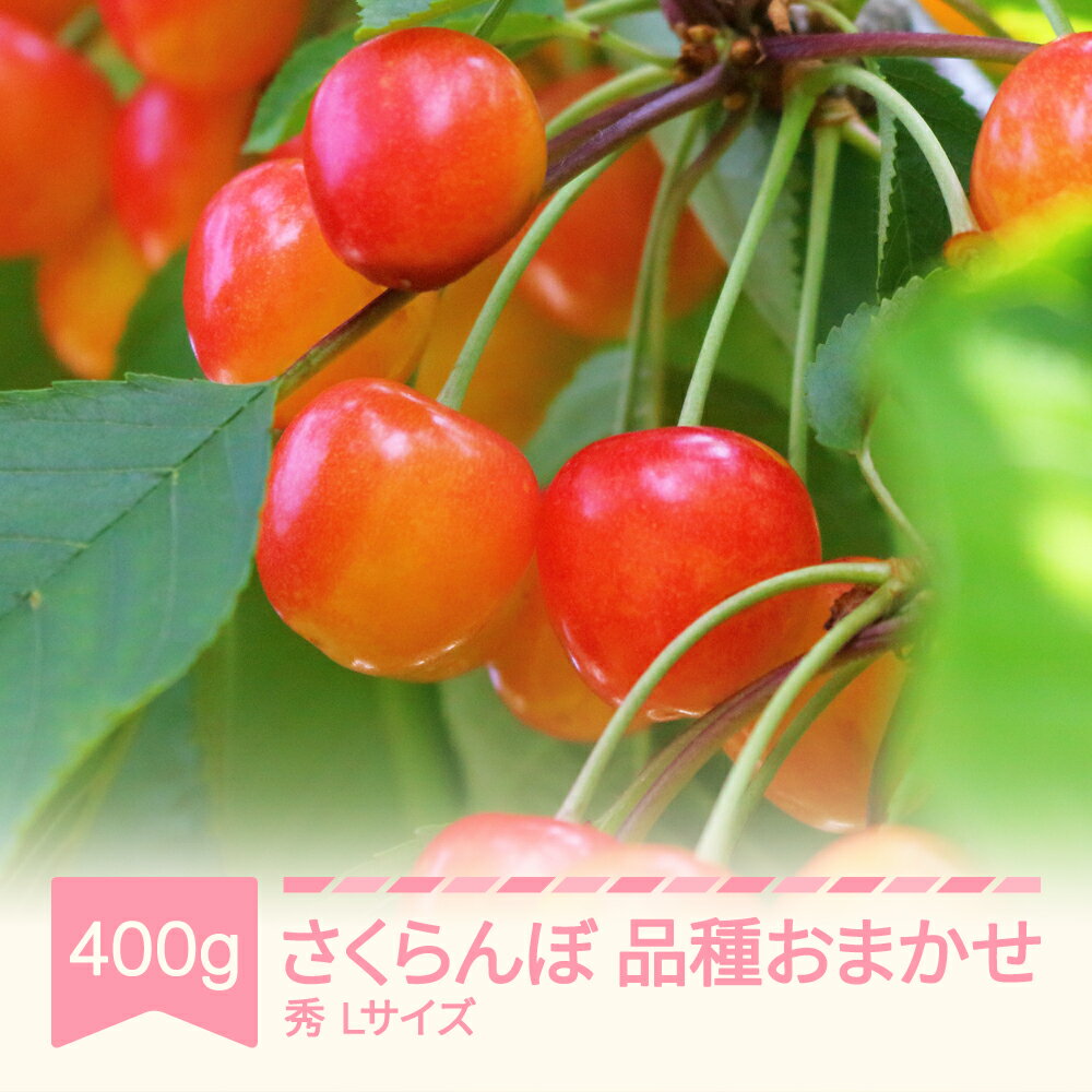 【ふるさと納税】【先行予約】 さくらんぼ 品種おまかせ 秀品 400g×1 バラ詰め Lサイズ 2026年産 令和8年産 山形県産 送料無料