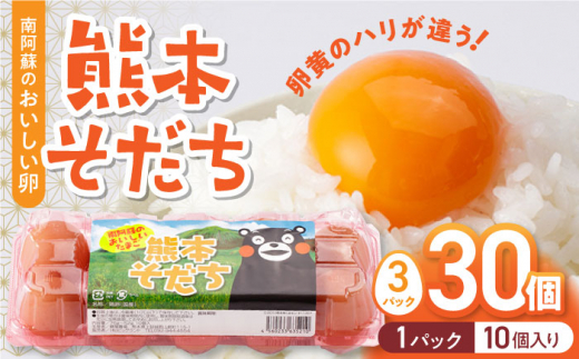 
熊本そだち 30個入り ( 10個入り × 3パック ) 熊本県産 山都町 たまご 卵 玉子 タマゴ 鶏卵 オムレツ 卵かけご飯 朝食 料理 人気 卵焼き【蘇陽農場】[YBE029]
