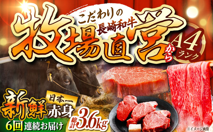 
【6回定期便】長崎和牛 赤身定期便 約3~4人前 赤身ステーキ 赤身肉 赤み 牛肉 ヒレ ヒレステーキ 東彼杵町/焼肉音琴 [BCT037]
