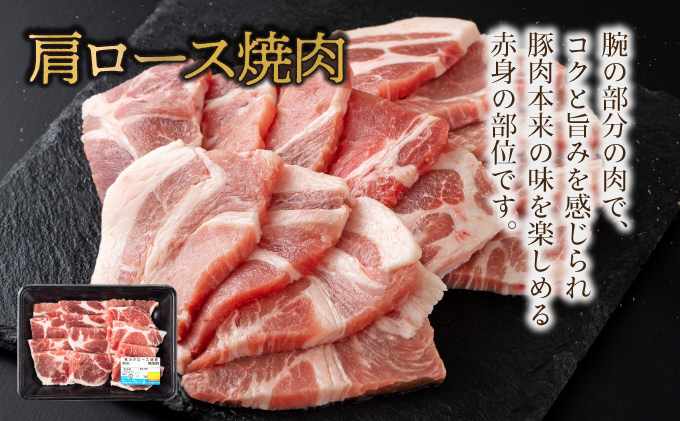 MCBY4-26 宮崎県産 豚肉詰め合わせ 焼肉セット（合計2.6kg）
