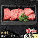 【ふるさと納税】 特選 壱岐牛 すね肉 300g / 500g（カレー・シチュー・煮込み料理）【選べる内容量】《壱岐市》【太陽商事】 [JDL019] 冷凍配送 黒毛和牛 A5ランク 肉 牛肉 赤身 すね肉 ブロック肉 赤身 カレー シチュー ビーフシチュー ギフト