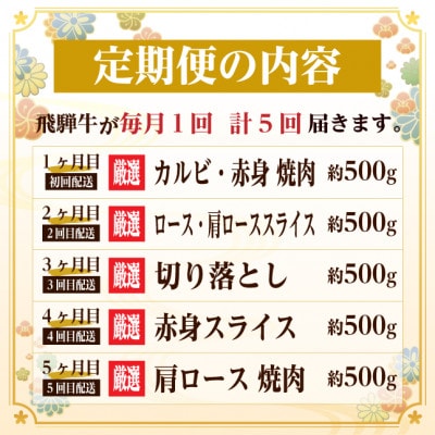 【毎月定期便】飛騨牛　赤身・霜降り定期便　計2.5kg カルビ・赤身・ロース(焼肉・BBQ用)全5回【配送不可地域：離島】【4075138】