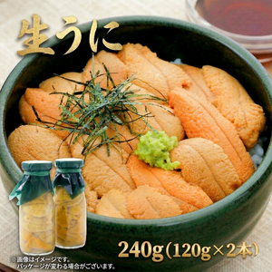 【予約】 生うに 240g(120g×2本) 冷蔵