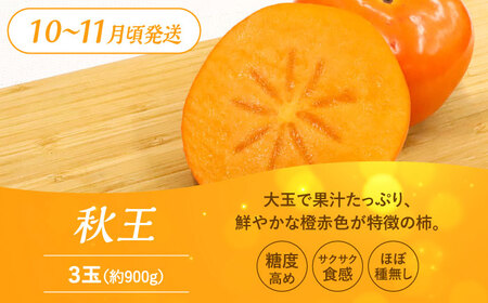 【全3回定期便】九州・福岡もぎたて フルーツ定期便 B＜一般社団法人地域商社ふるさぽ＞那珂川市 定期便 フルーツ定期便 あまおう定期便 苺 あまおう  いちご フルーツ キウイフルーツ 果物定期便 く