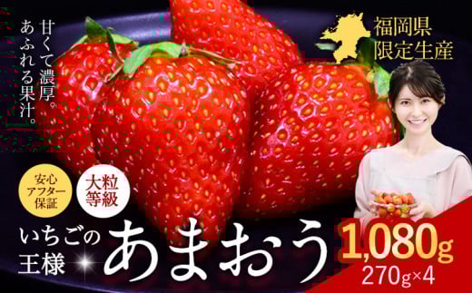 ★2026年出荷分★【先行予約】いちご あまおう 1080g 苺 送料無料 【着日指定不可】《2月中旬-4月末頃出荷予定》 イチゴ 果物 フルーツ 福岡県 鞍手郡 小竹町