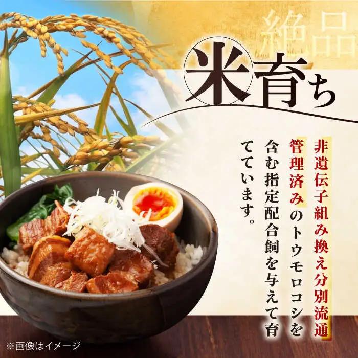 【全3回定期便】平田牧場 肩ロース ブロック 1.2kg (600g×2P) 豚肉 ローストポーク 煮豚 [AJAP115]