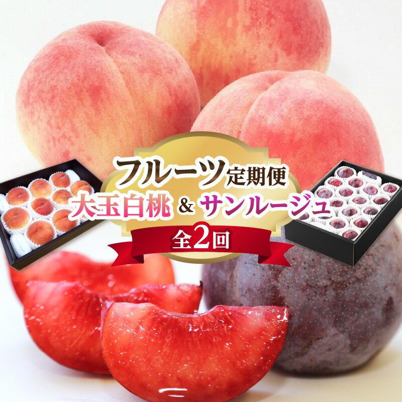 【ふるさと納税】 《先行受付》白桃&すもも フルーツ定期便【全2回】 レビューキャンペーン