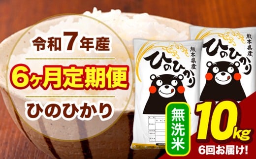 令和7年産 【6ヶ月定期便】  無洗米 米 ひのひかり 10kg《お申込月の翌月から出荷開始》熊本県 大津町 国産 熊本県産 無洗米 送料無料 ヒノヒカリ こめ お米