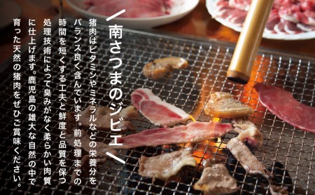 【南さつまジビエ】鹿児島県産 猪肉焼肉用 500g ＆ ソーセージ 200g 焼肉 バーベキュー BBQ 冷凍 グルメ 鹿児島産 ジビエ肉 イノシシ 猪 南さつま ジビエ