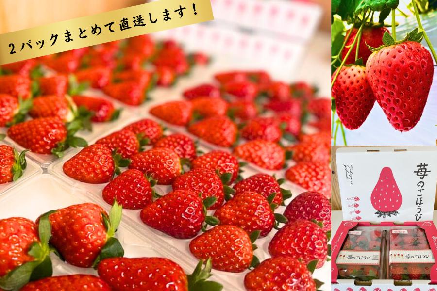【定期便】苺のごほうび【古都華】270g×2パック 1月～3月発送 3ヶ月定期便 // いちご イチゴ 古都華 奈良 奈良県