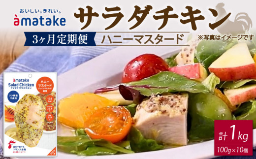 サラダチキン ハニーマスタード 100g×10個 【3回(3ヶ月定期便)】