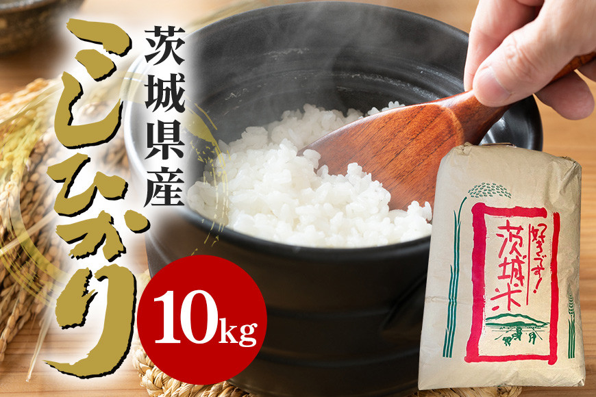 
            【令和6年産】石岡市産コシヒカリ10kg 限定20袋 精米 米 お米 こしひかり 白米 こめ コシヒカリ 10.0kg ブランド米 取り寄せ 特産 ごはん ご飯 コメ お取り寄せ ギフト 贈り物 お弁当 弁当 おにぎり ふっくら ツヤツヤ 甘い 農家直送 産地直送 数量限定 国産 茨城県産 石岡市  贈答 
          