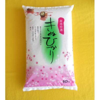 ふるさと納税 湯浅町 【令和7年産】和歌山県産キヌヒカリ10kg