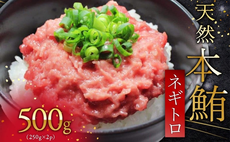 
            天然本鮪ネギトロ250g×2P　M007-005
          