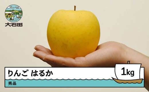 【先行予約】 りんご はるか 秀品 約1kg 2026年産 令和8年産 果物 フルーツ 山形県 ry-rihax1000